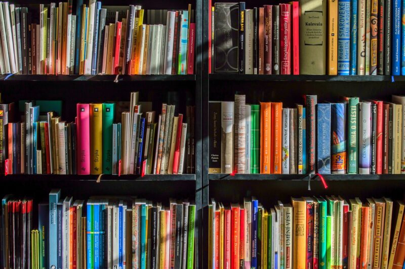 Boekenplank Kinderopvang 2Samen Den Haag Monster Naaldwijk
